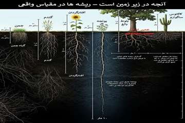 خاک 4